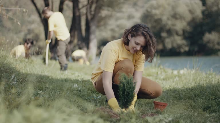 Best Lawn Renovation and Restoration  in Warr Acres, OK