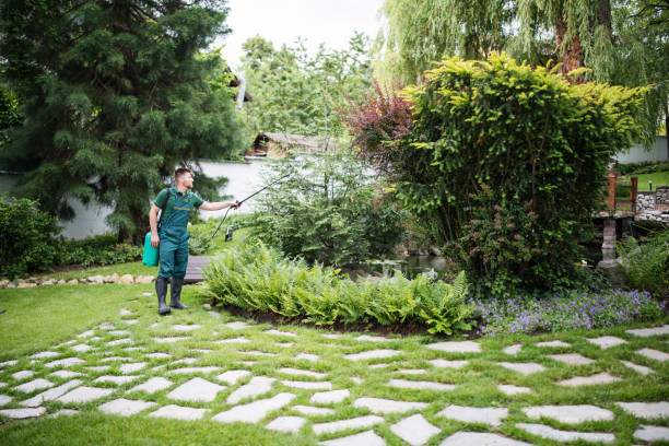 Best Lawn Grading and Leveling  in Warr Acres, OK