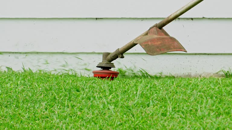 Best Pest Control for Lawns  in Warr Acres, OK