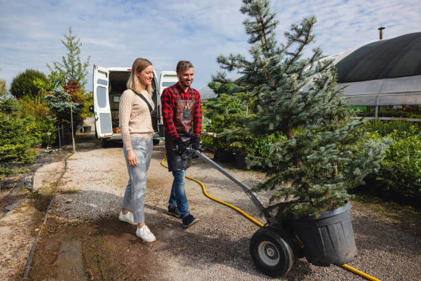 Warr Acres, OK Tree Services Company